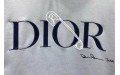 Dior худи CD Icon